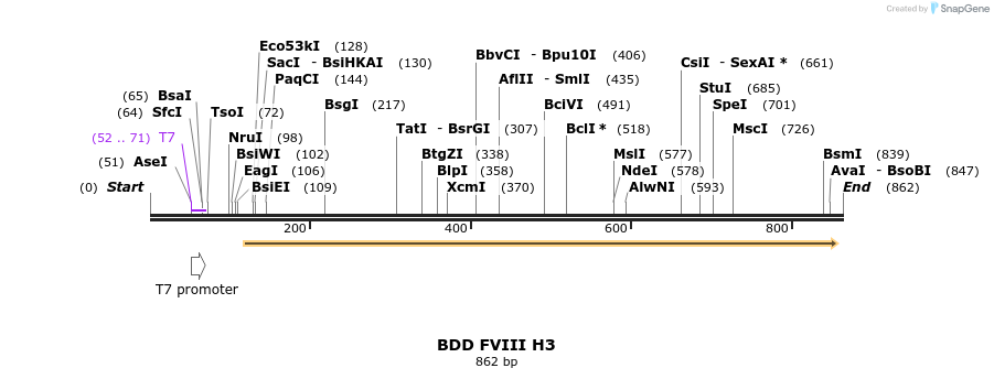68584_map