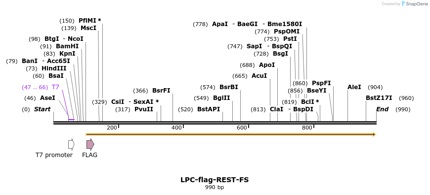 68590_map