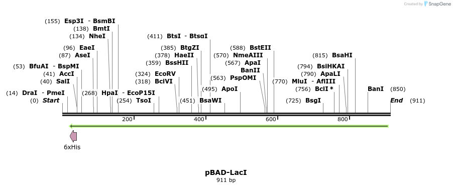 68595_map