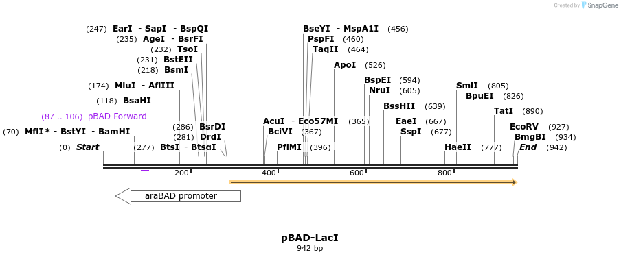 68597_map