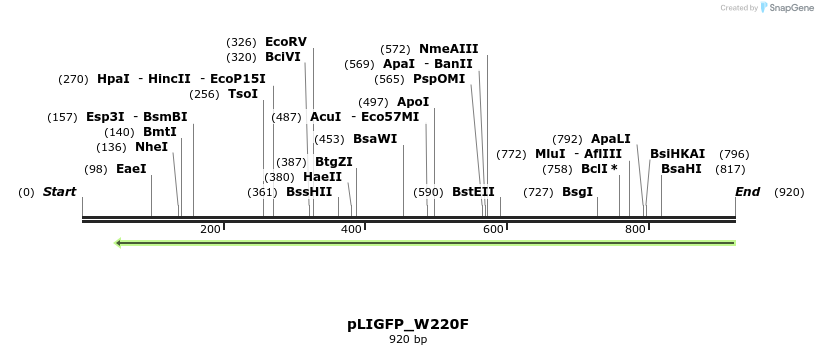 68601_map