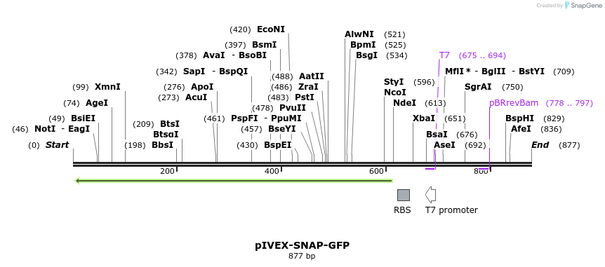 68603_map