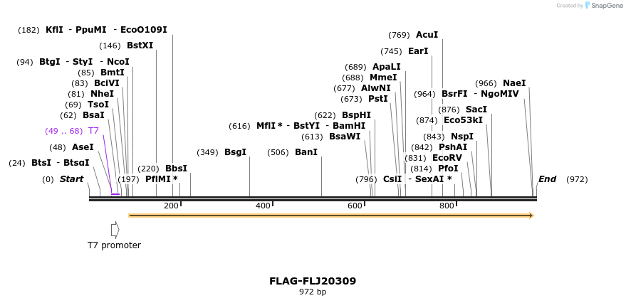 68605_map