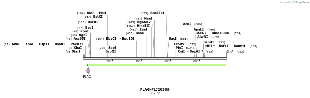 68606_map