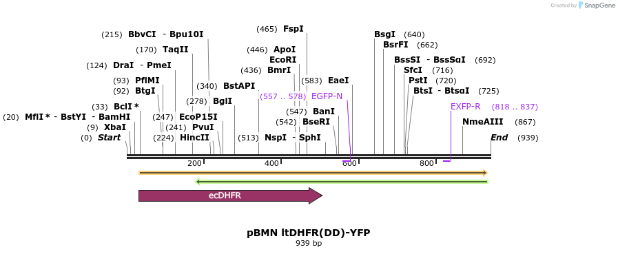 68625_map