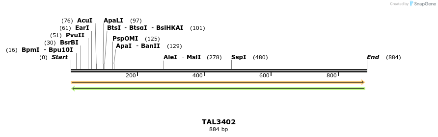 68628_map
