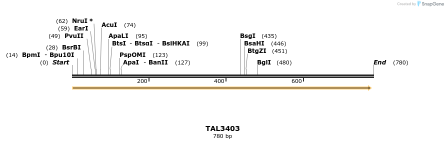 68629_map