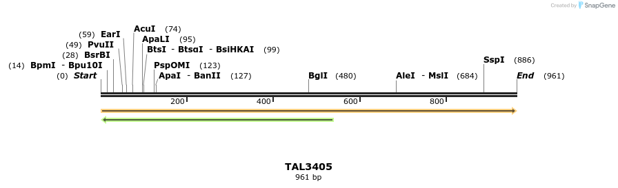 68631_map
