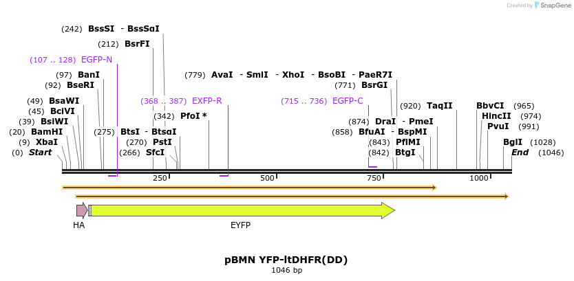 68642_map