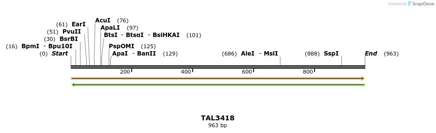 68646_map