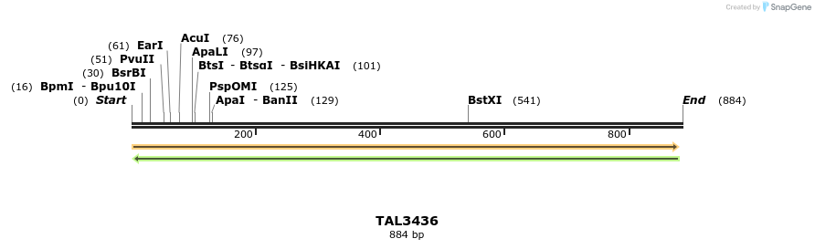 68666_map