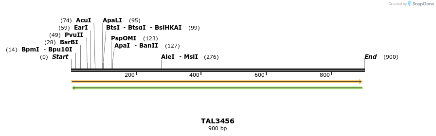 68685_map