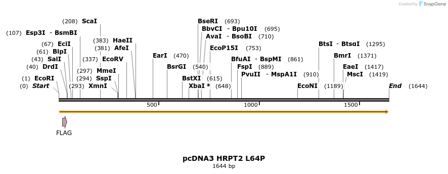 6870_map