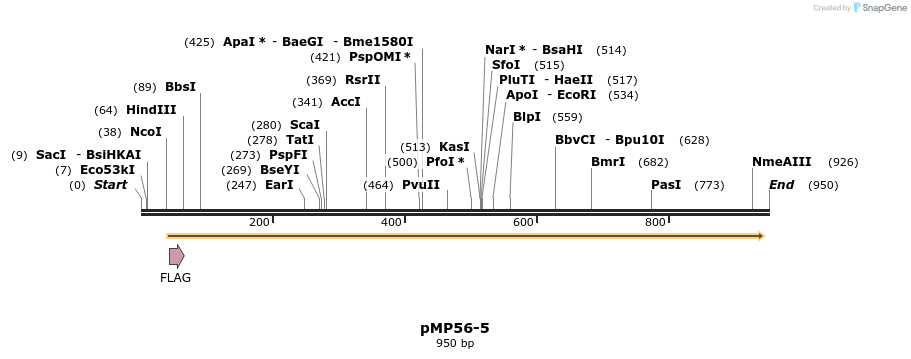 68702_map