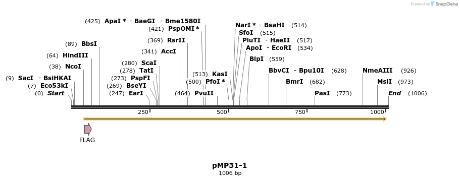 68703_map