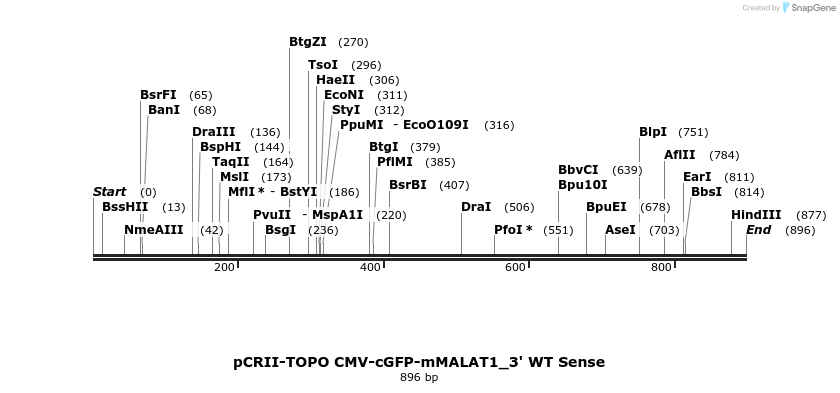 68705_map