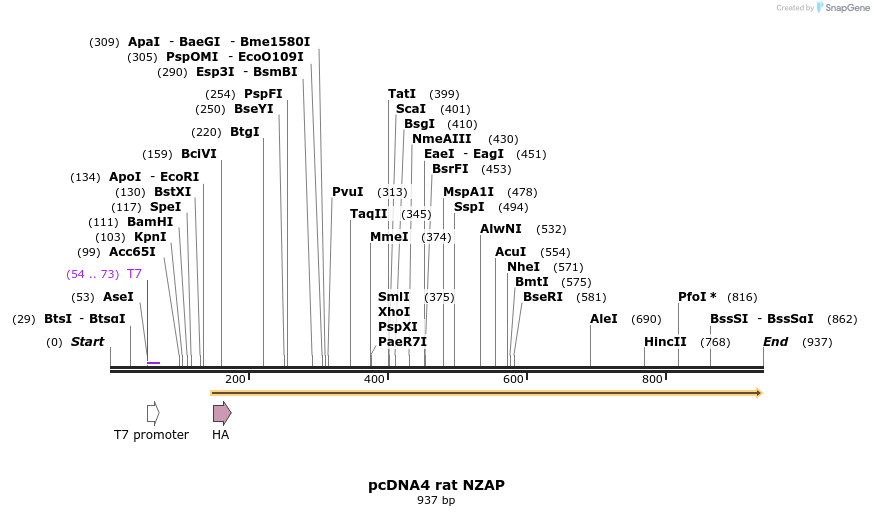 68706_map