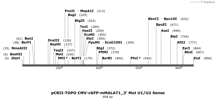 68711_map