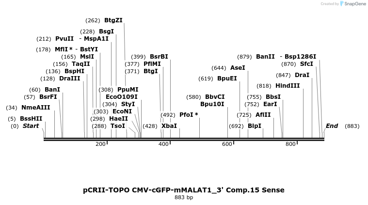 68715_map