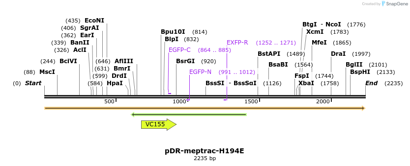 68722_map