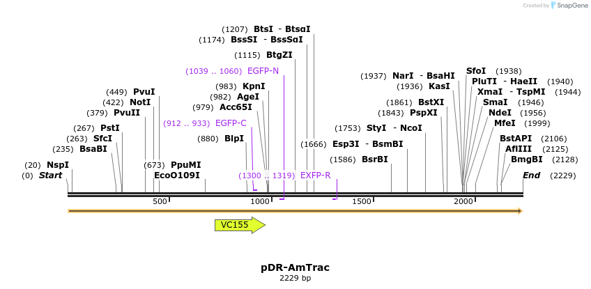 68736_map