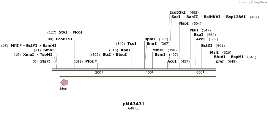 68737_map