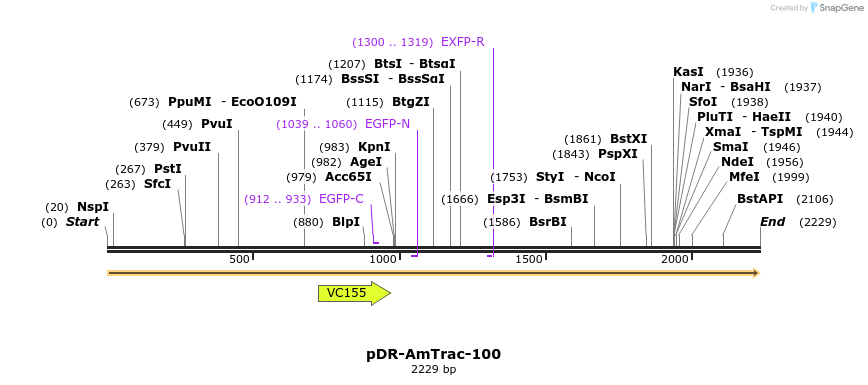68738_map