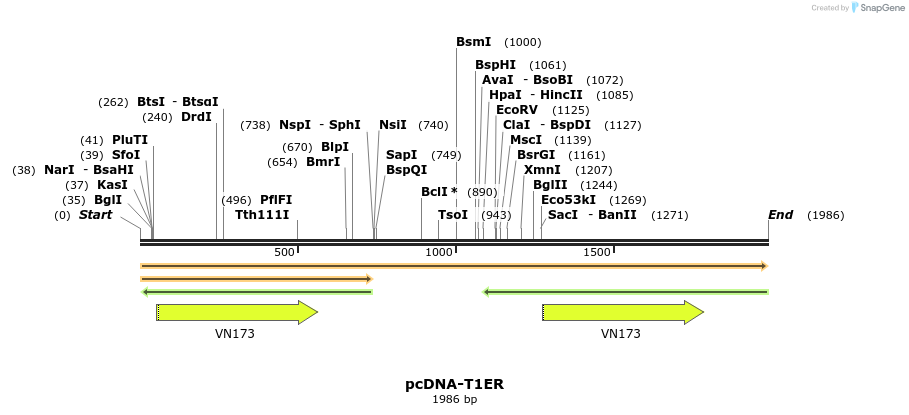 68739_map
