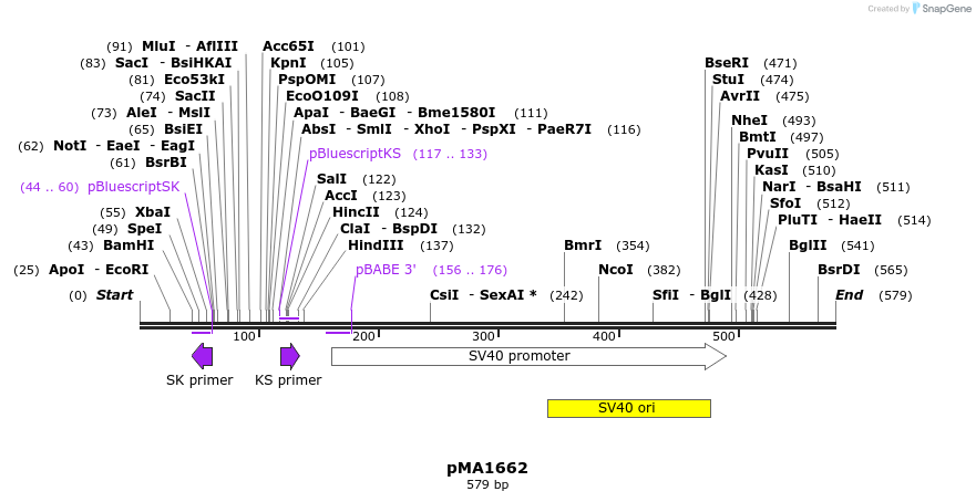 68754_map