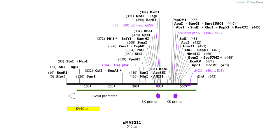 68755_map