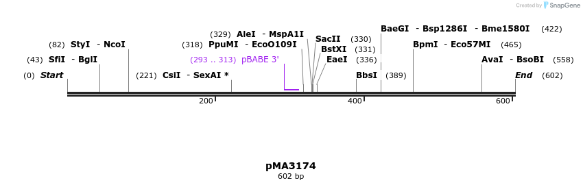 68756_map