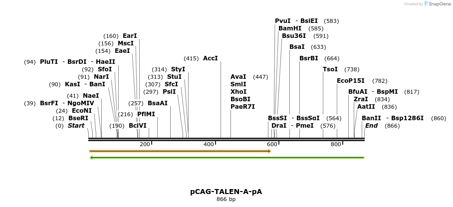 68775_map