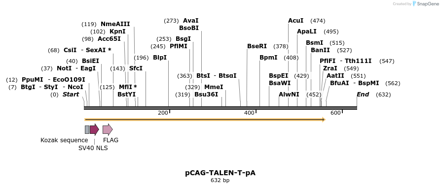68781_map