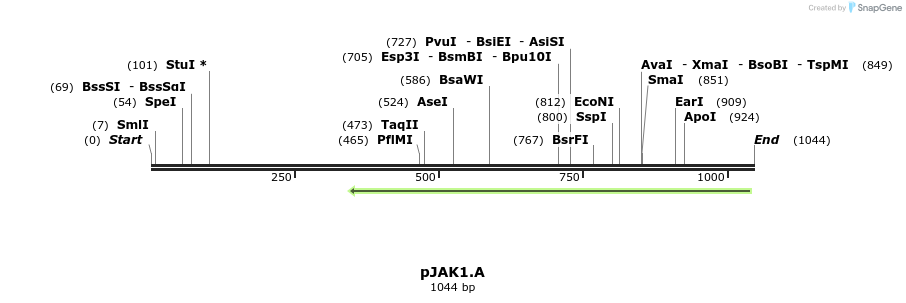 68795_map