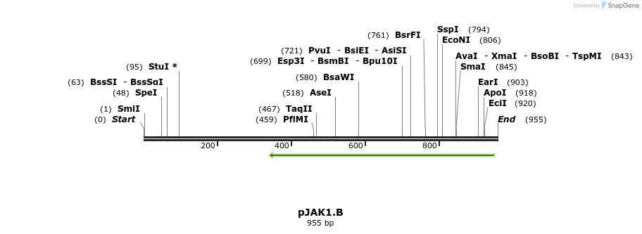 68832_map