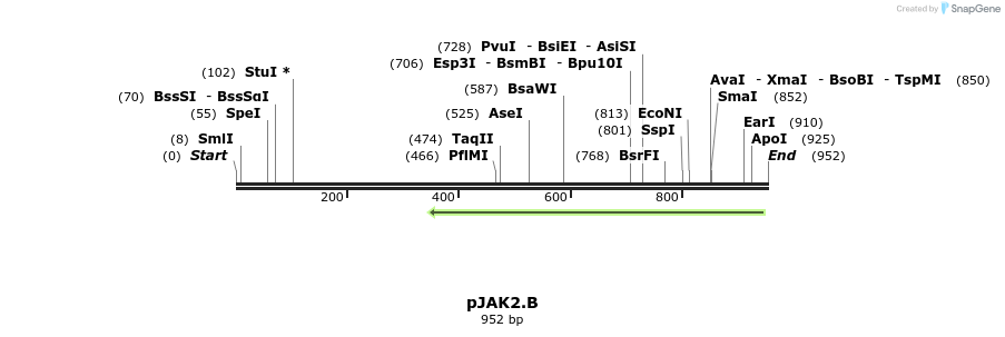 68852_map