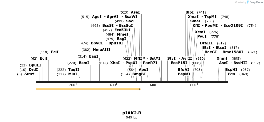 68856_map