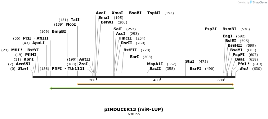 68868_map