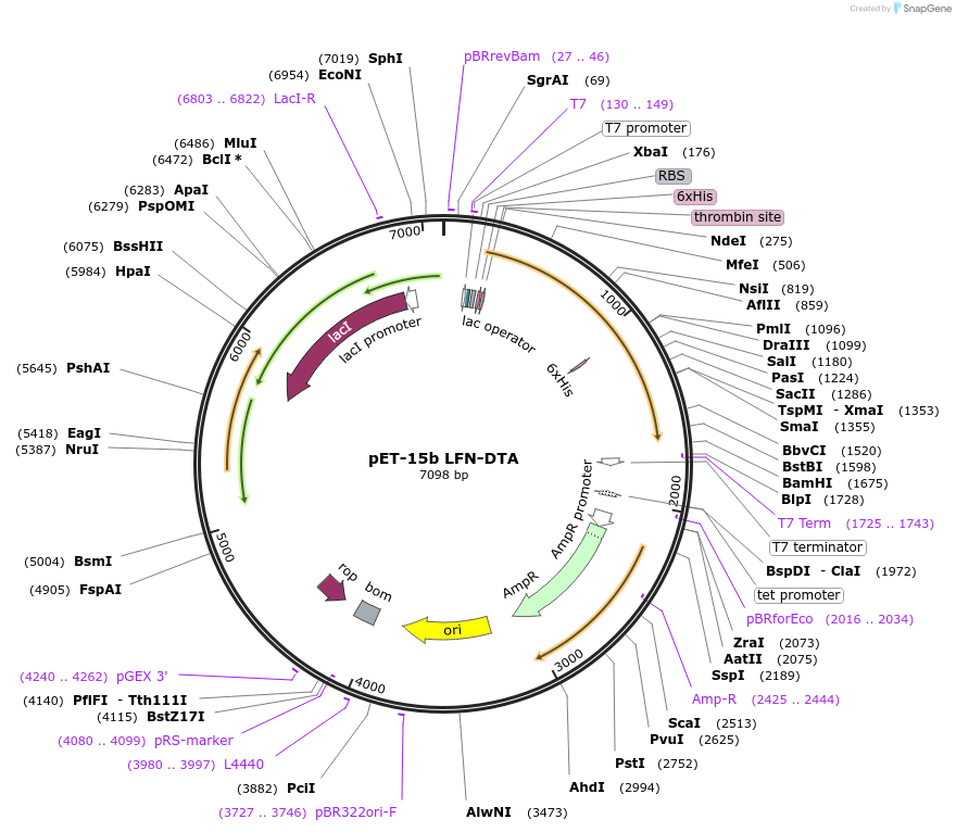 6888_map