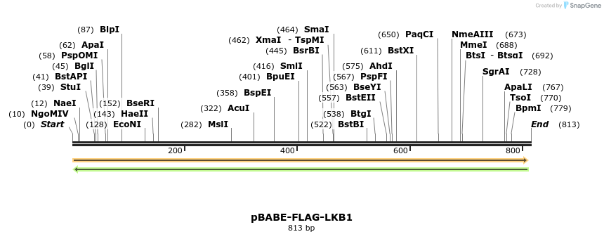 68881_map