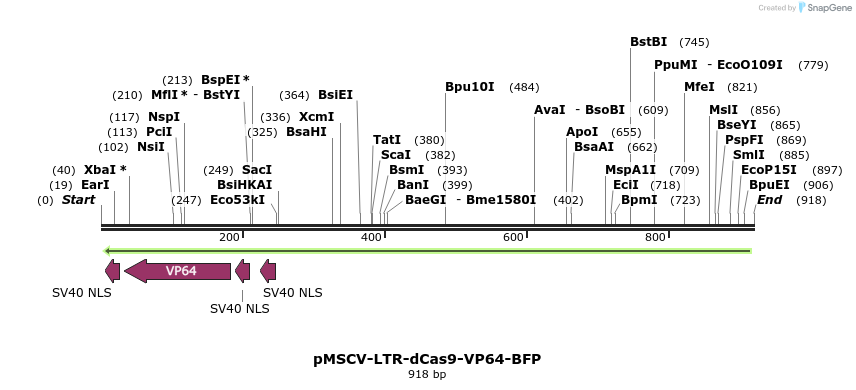 68885_map