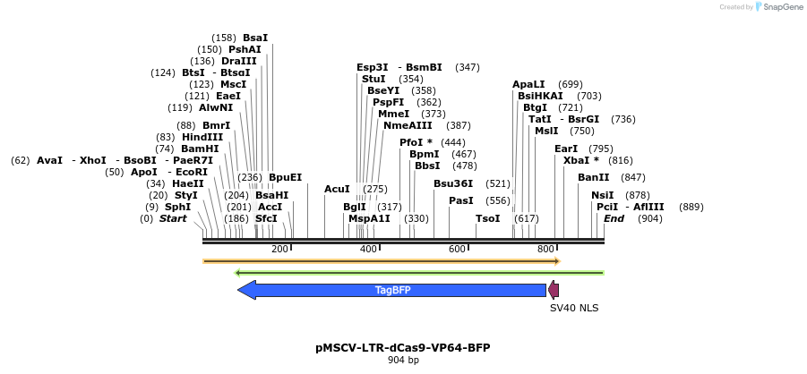 68886_map