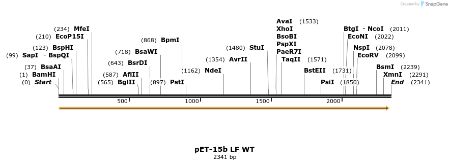 6889_map