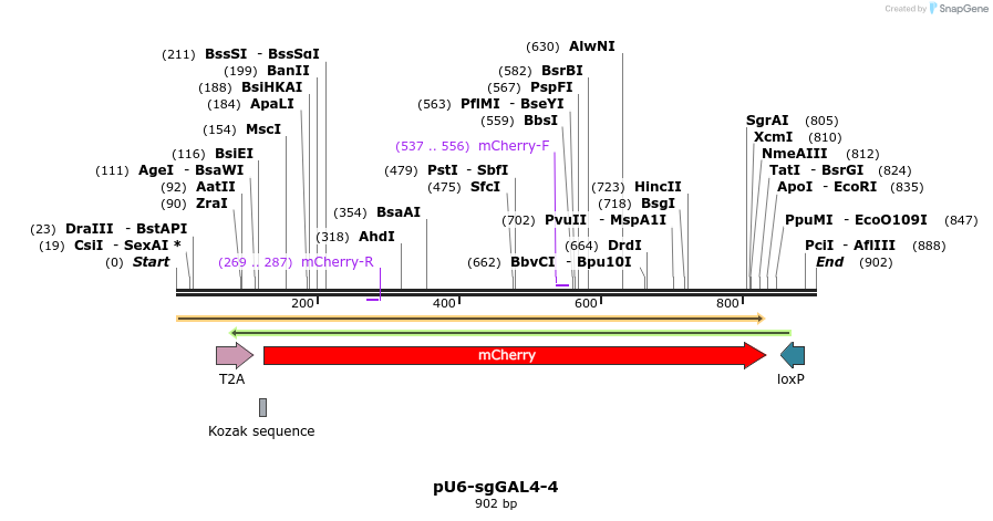 68896_map