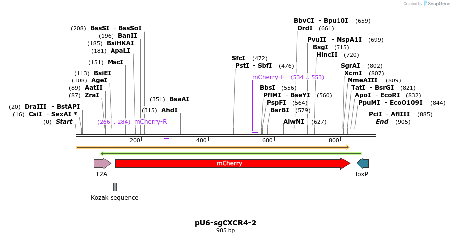 68897_map