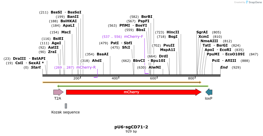 68898_map