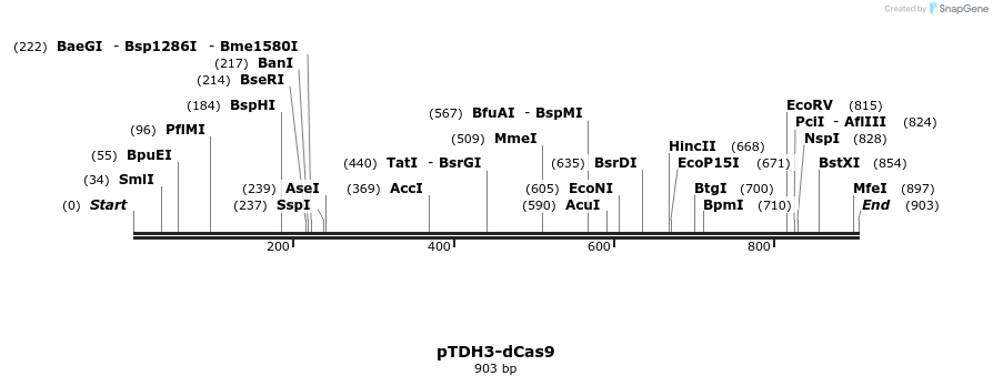 68907_map