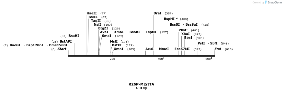 68909_map