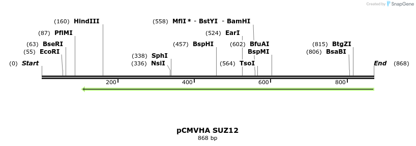 68911_map
