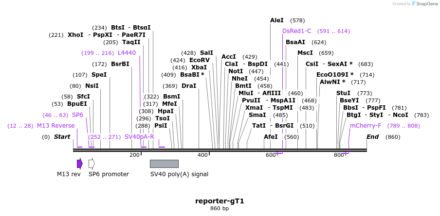 68927_map